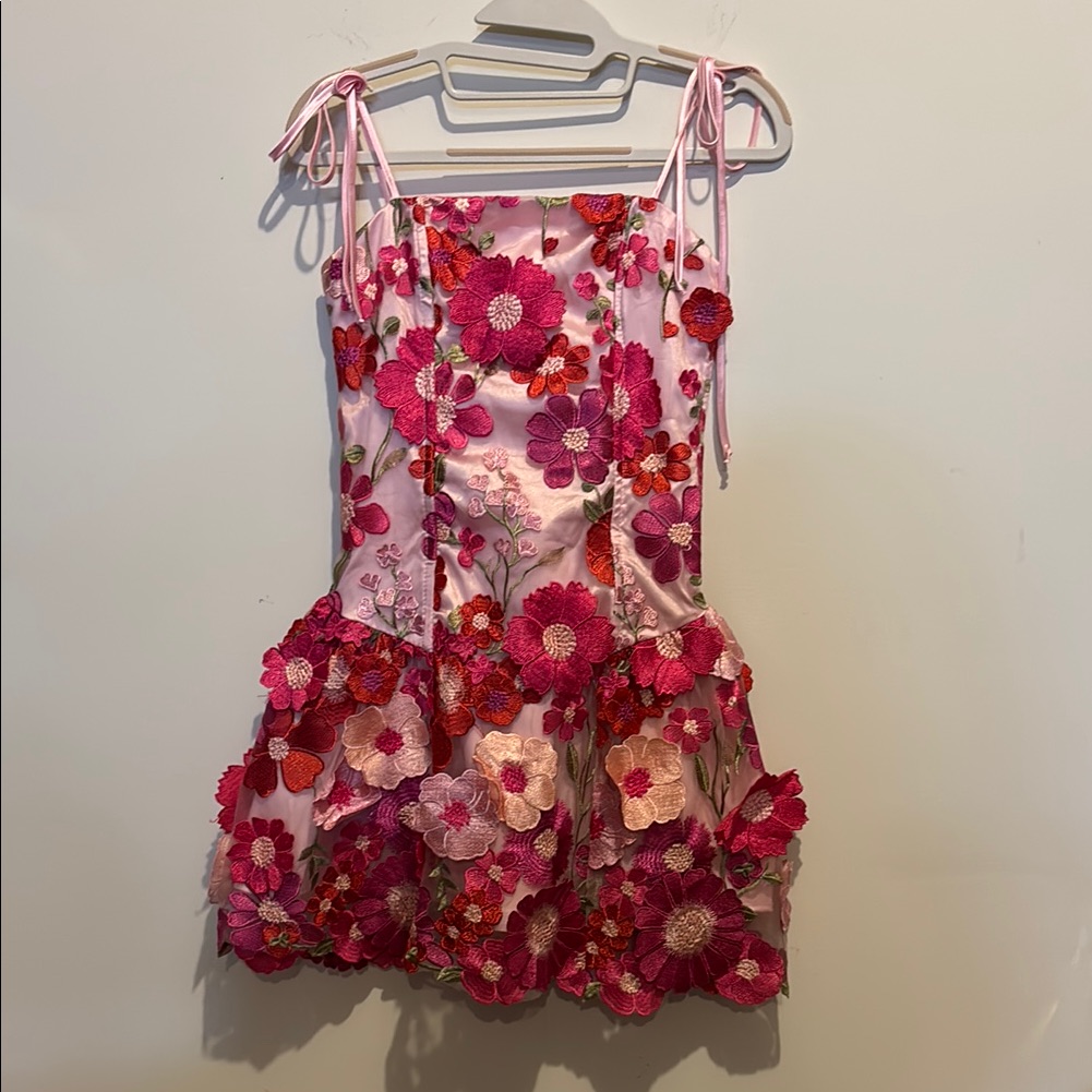Women’s 3d Floral Dreams Mini Dress Pink And Red Dress Size Xxs Nwot